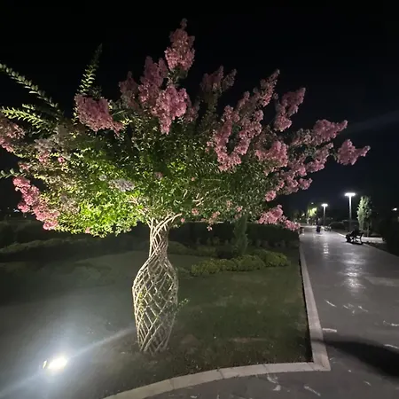 View דירה *